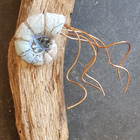 ammonite, driift wood, driftwood ornaments